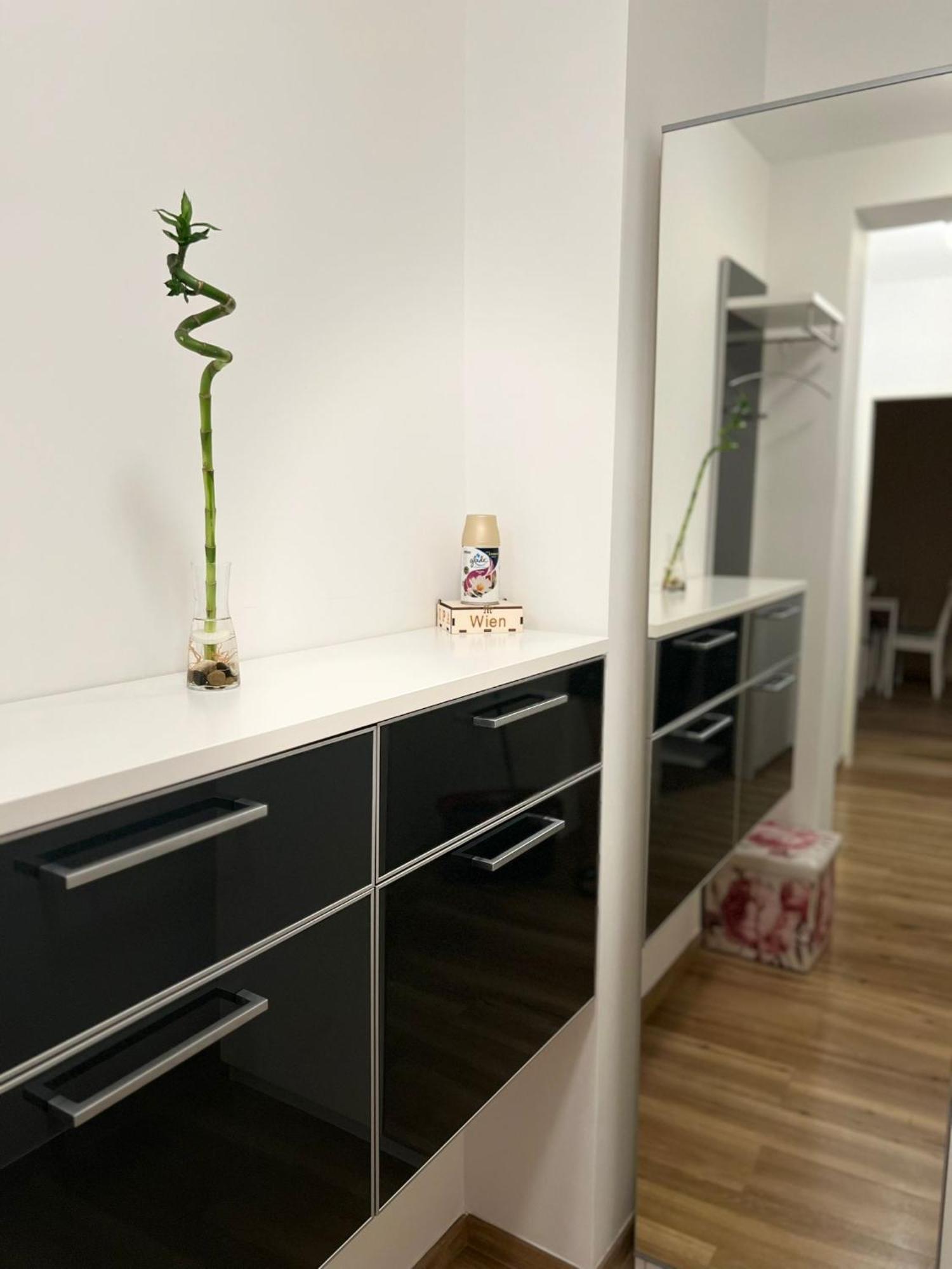 Aura'S Serenity Apartment Відень Екстер'єр фото